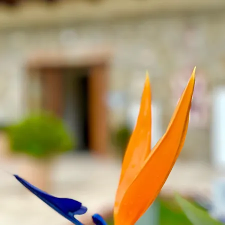 Casale Degli Ulivi Country house *
